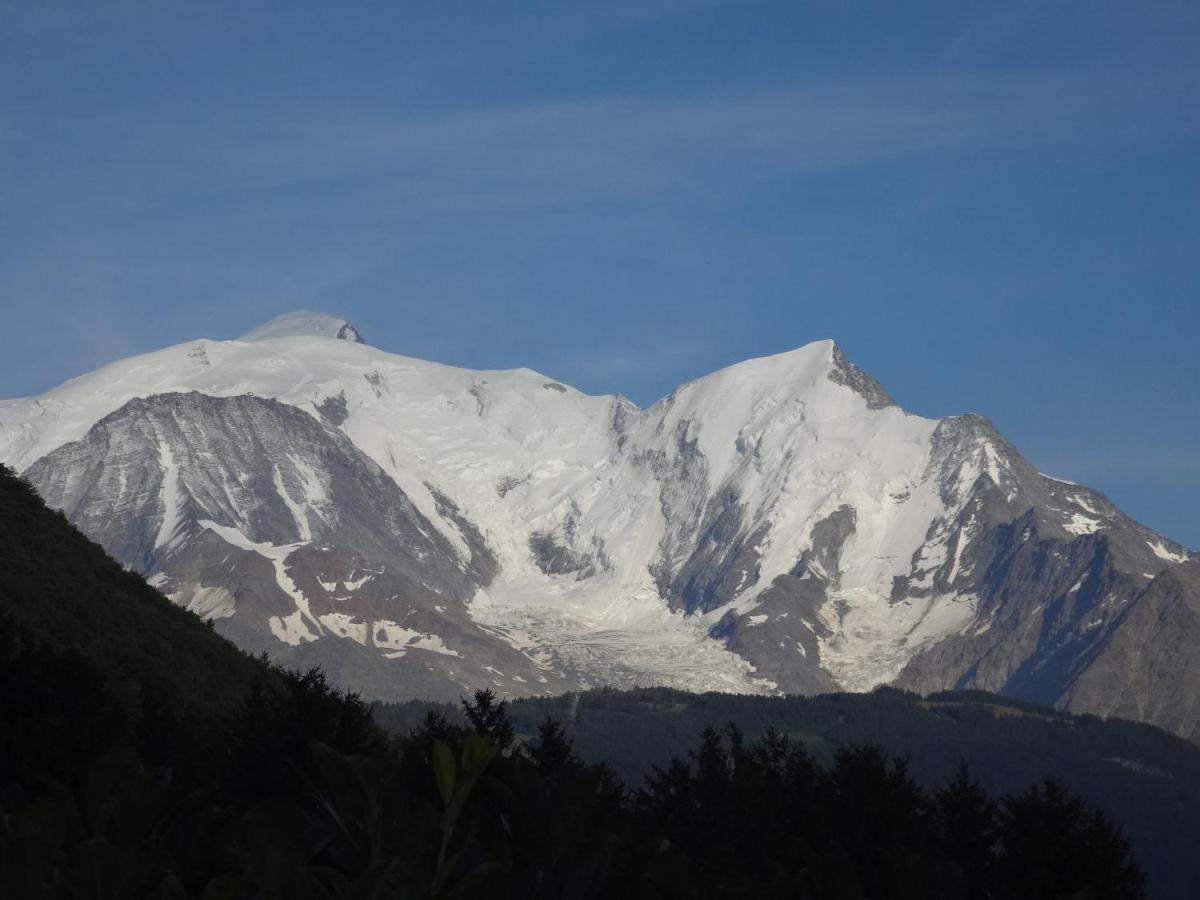 Mont Blanc Holidays Dans Residence Avec Gardien Sallanches Exteriér fotografie